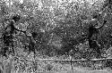 Samuel Putnam negatives, New Guinea; women walking across a small bridge