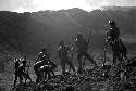 Samuel Putnam negatives, New Guineal; large group of men working in a new field; breaking the earth