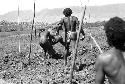 Samuel Putnam negatives, New Guinea; men working in a field