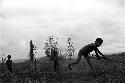 Samuel Putnam negatives, New Guinea;little boy has just thrown a hoop