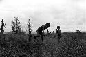 Samuel Putnam negatives, New Guinea;little boy has just thrown a hoop