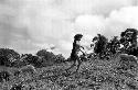 Samuel Putnam negatives, New Guinea; a woman with some pigs