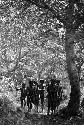 Samuel Putnam negatives, New Guinea; group of warriors coming thru a forest on their way to an Etai