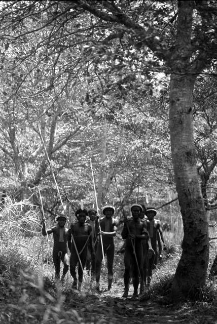 Samuel Putnam negatives, New Guinea; group of warriors coming thru a forest on their way to an Etai