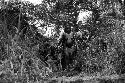 Samuel Putnam negatives, New Guinea; women and children walking thru underbrush
