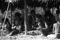 Samuel Putnam negatives, New Guinea; group of men knitting nyeraken are under an olea