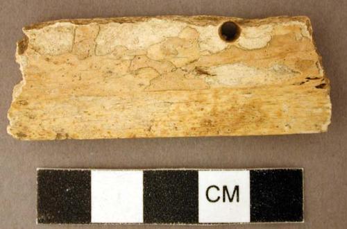 Organic, worked animal bone fragment, perforated