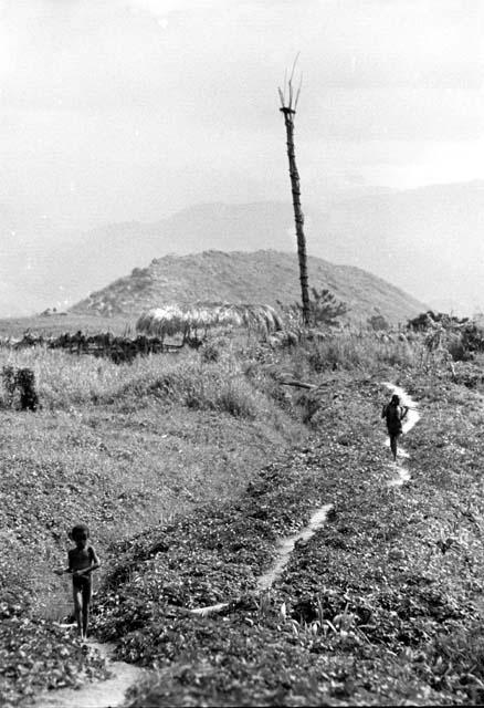 Samuel Putnam negatives, New Guinea; people walking home from Hellerabet