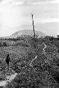 Samuel Putnam negatives, New Guinea; a woman walks back from Hellerabet