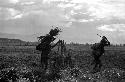 Samuel Putnam negatives, New Guinea; women walking over a fence on their way home