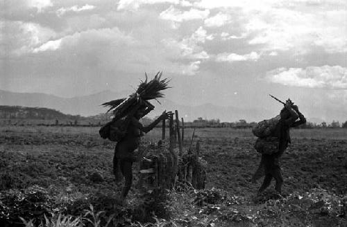 Samuel Putnam negatives, New Guinea; women walking over a fence on their way home