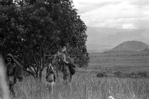 Samuel Putnam negatives, New Guinea; on the Anelerak; women walking up towards their sili