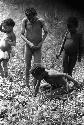 Samuel Putnam negatives, New Guinea; 4 children playing in a field