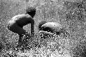 Samuel Putnam negatives, New Guinea; 2 children playing in a field