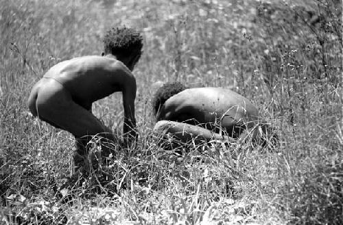 Samuel Putnam negatives, New Guinea; 2 children playing in a field