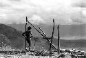 Samuel Putnam negatives, New Guinea; up on the Tukumba; a place where wood is gathered; a boy stands near it