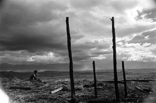 Samuel Putnam negatives, New Guinea; up on the Tukumba; a place where wood is gathered; a boy stands