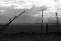 Samuel Putnam negatives, New Guinea; a boy against the skyline up with the partially finished structure where they gather wood