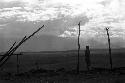 Samuel Putnam negatives, New Guinea; a boy against the skyline up with the partially finished structure where they gather wood