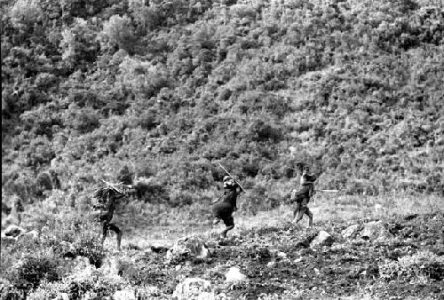 Samuel Putnam negatives, New Guinea; 3 women walking in the direction of Lokoparek near Abukulmo in the distance