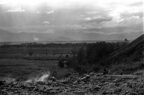 Samuel Putnam negatives, New Guinea; child takes care of her pigs; view towards Homoak; and Wuper