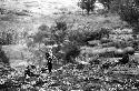 Samuel Putnam negatives, New Guinea; boy coming down the hill towards Wuperainma; fire wood on his shoulder