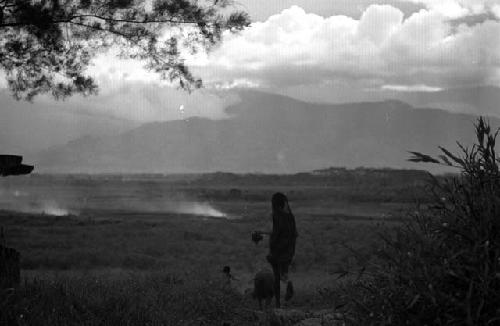 Samuel Putnam negatives, New Guinea; a woman walking down past Homaklep with pigs