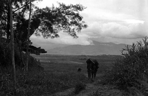 Samuel Putnam negatives, New Guinea; several women walking up the path towards Abukulmo past Homaklep