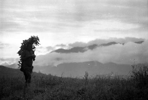 Samuel Putnam negatives, New Guinea; a woman walking in the fields; she has something on her back