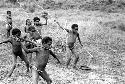 Samuel Putnam negatives, New Guinea; Isile, Okal and other little boys playing sikoko wasin