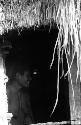 Samuel Putnam negatives, New Guinea; she looks inside the hunu