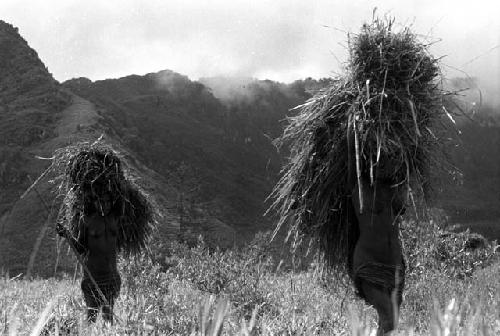 Samuel Putnam negatives, New Guinea; 2 women walking with thatching material on their heads