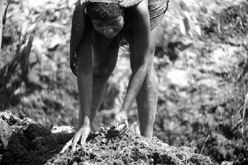 Samuel Putnam negatives, New Guinea; woman working in the garden