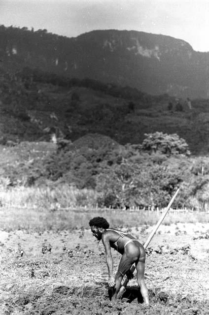 Samuel Putnam negatives, New Guinea; Tuessike woking in the garden