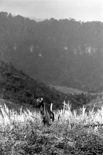 Samuel Putnam negatives, New Guinea; an old woman walking in the Alima