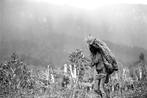 Samuel Putnam negatives, New Guinea; an old woman walking in the Alima