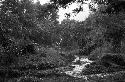 Samuel Putnam negatives, New Guinea; people walking along the trail in the area near Apulek- in the distance