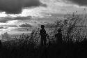 Samuel Putnam negatives, New Guinea; men walking thru the grass