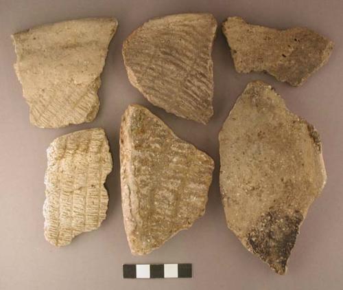 Ceramic sherds