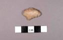 Stone projectile points, stemmed