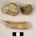 Faunal bone fragments