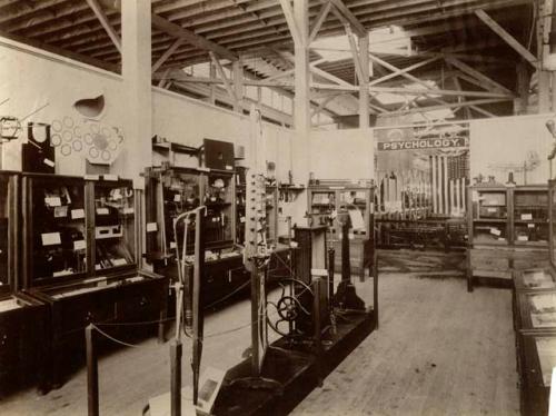 Chicago World's Fair 1893, Anthropological Department