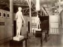 Dr. Sargent's composite statues.  Development Room, World's Columbian Exposition of 1893