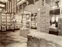 Exhibit room of Mayan casts and photographs at World's Columbian Exposition