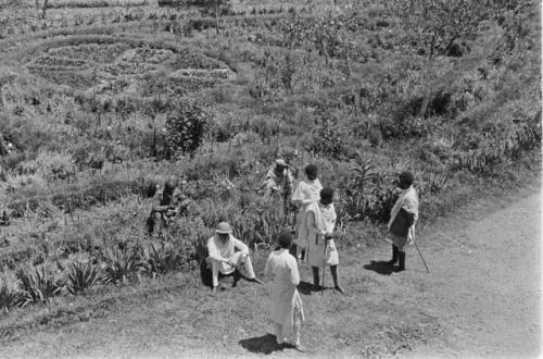 Scenes in country outside Addis Ababa