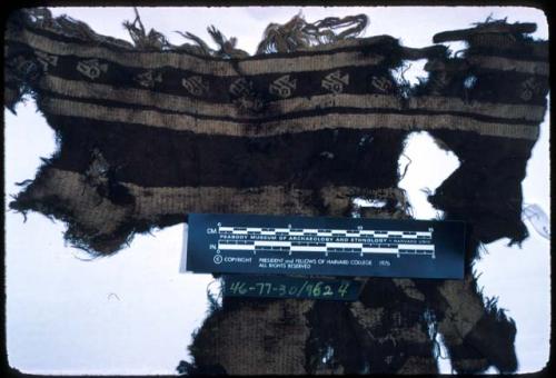 Tunic, fragment