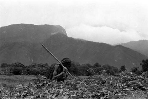 Samuel Putnam negatives, New Guinea