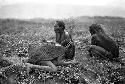 Samuel Putnam negatives, New Guinea; three women sitting; resting in the fields; one is trying to light a cigarette from a grass bundle