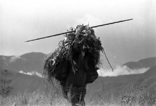 Samuel Putnam negatives, New Guinea; one woman out of focus walking in the fields with an enormous load