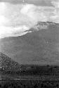 Samuel Putnam negatives, New Guinea; Wittaia army down-shot from the Watibara